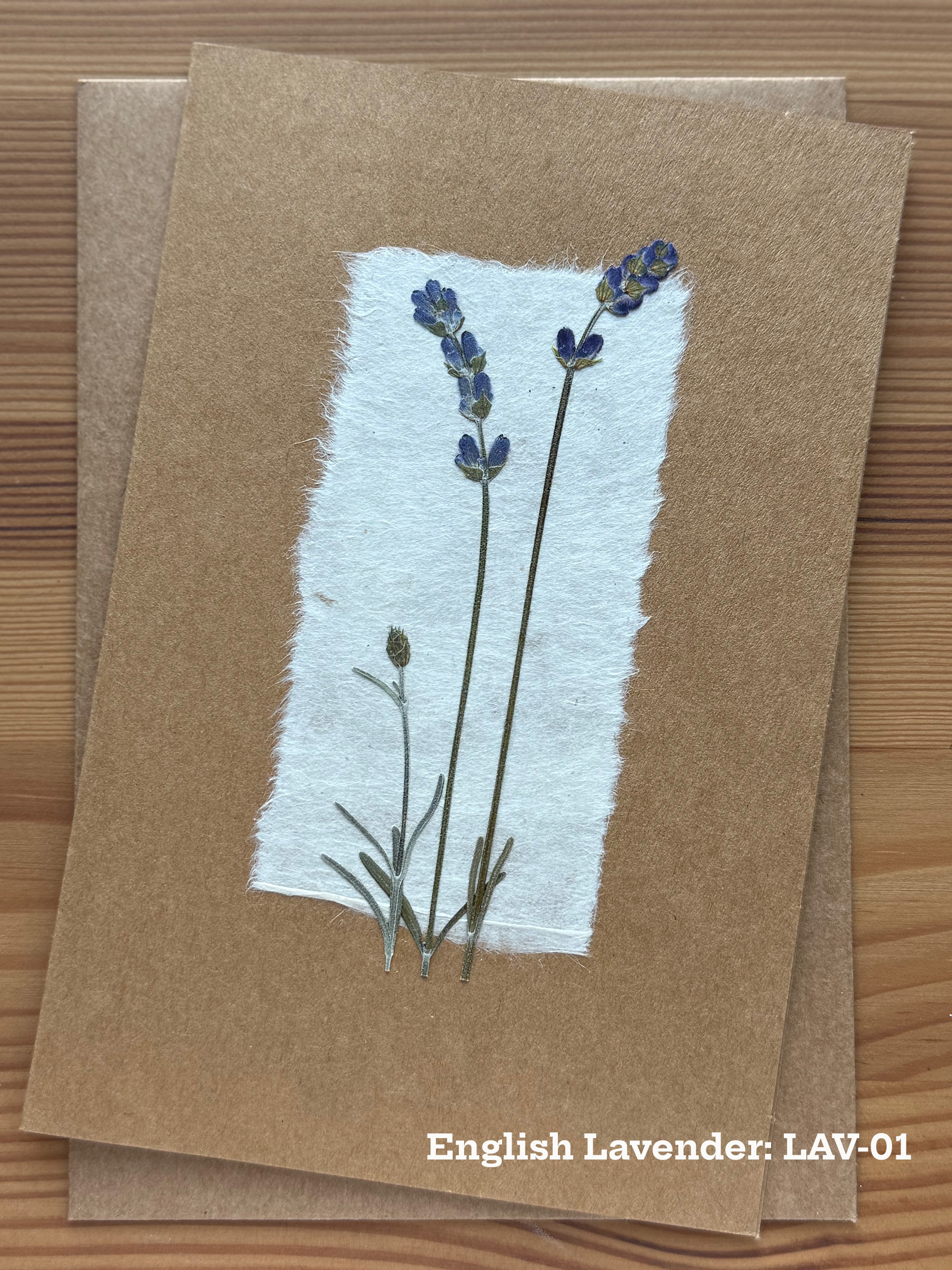 English Lavender pressed flower piece