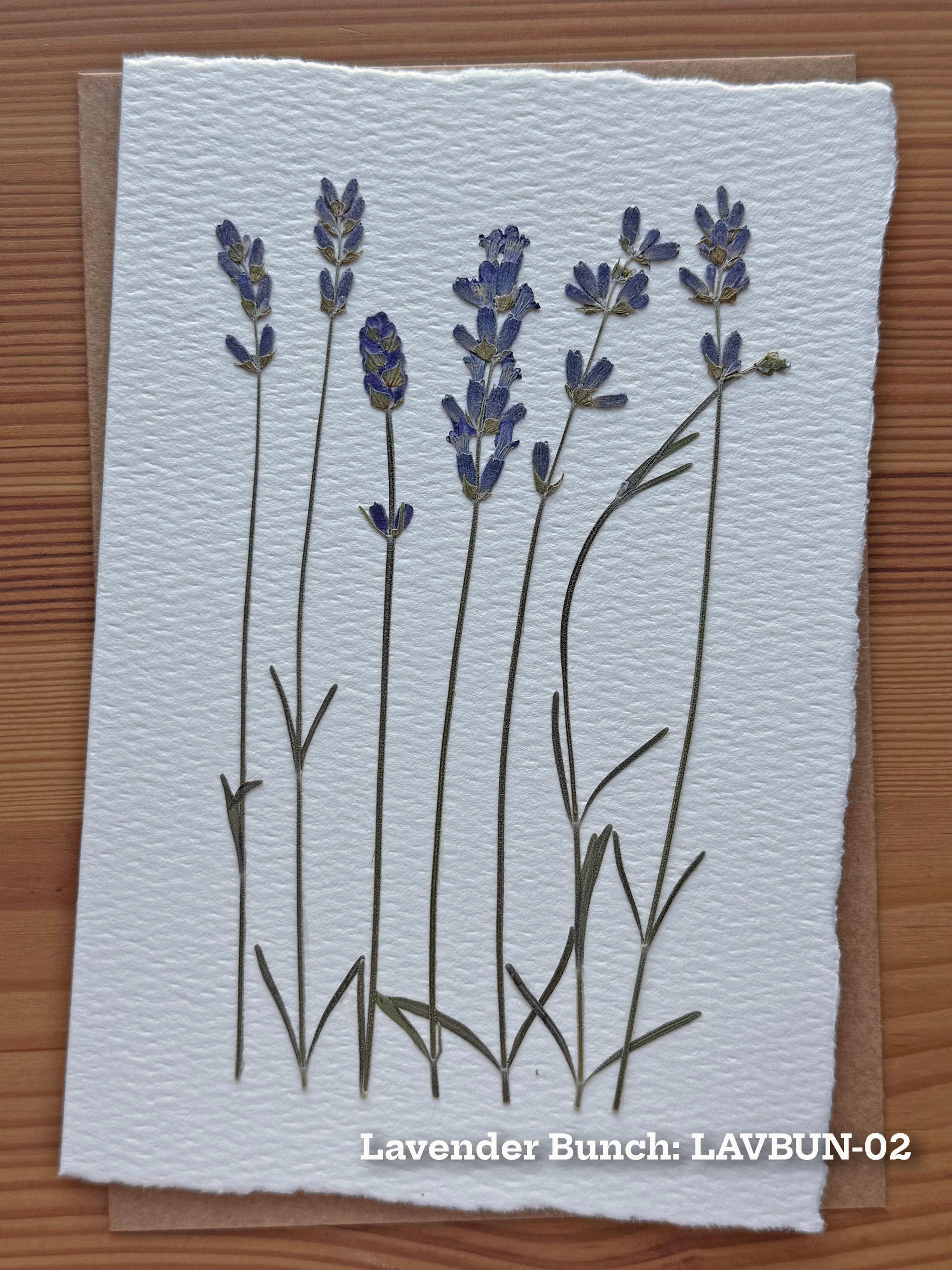 Lavender Bunch pressed flower piece