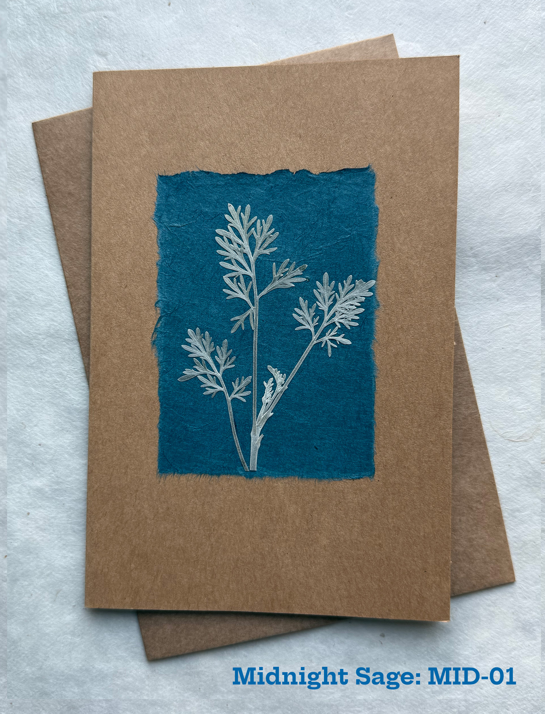 Midnight Sage pressed flower piece