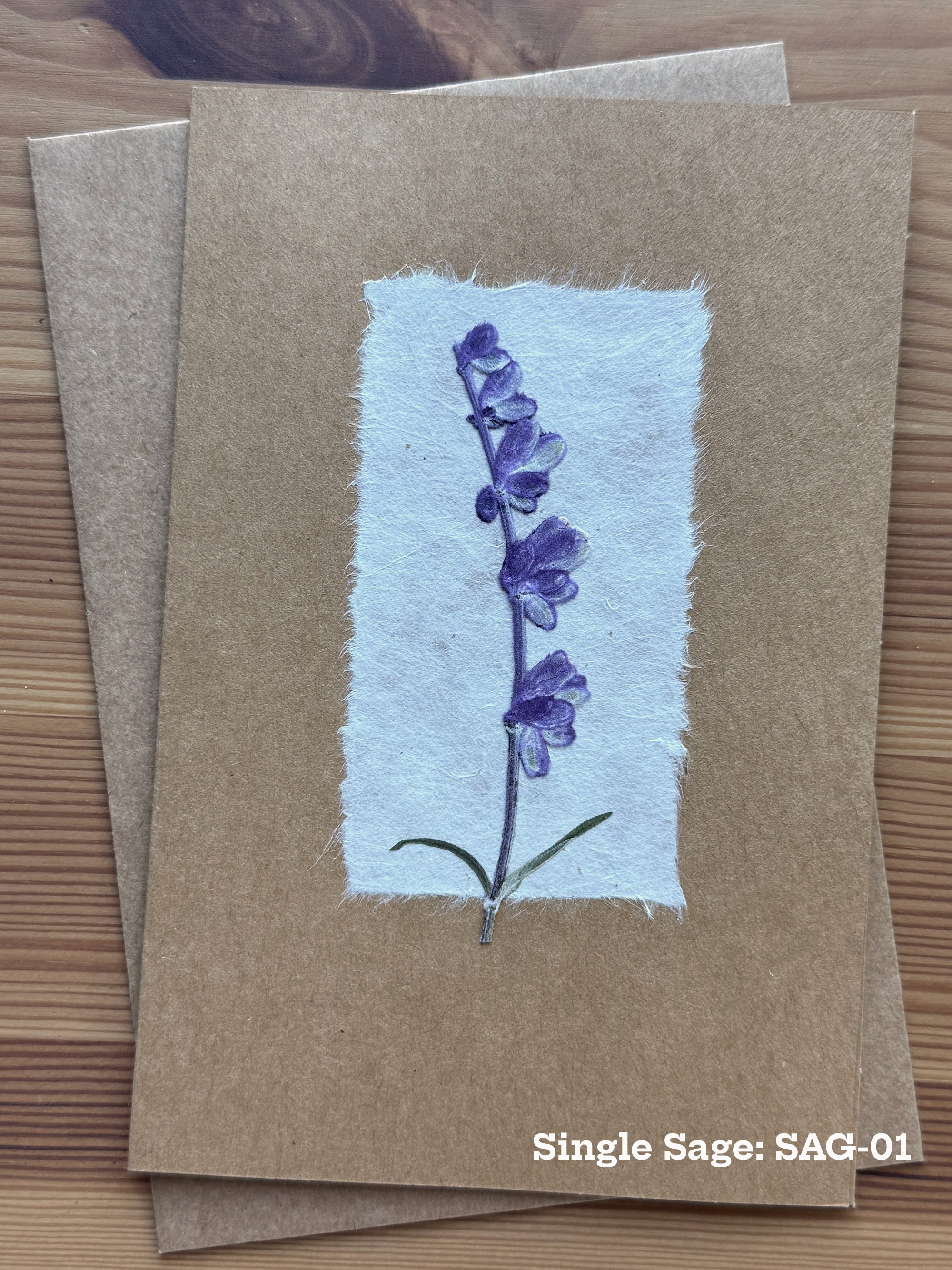 Single Sage pressed flower piece