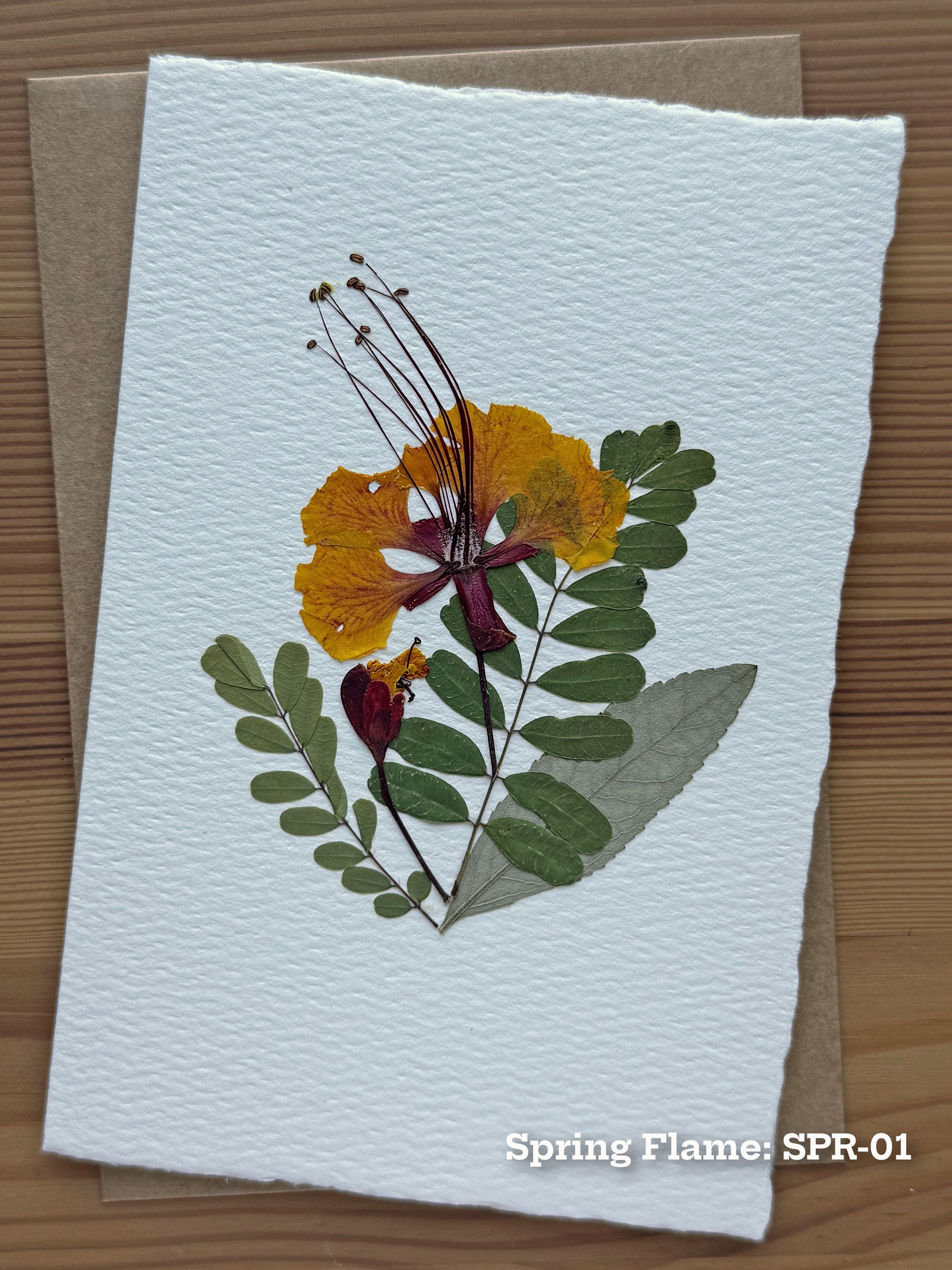 Spring Flame pressed flower piece