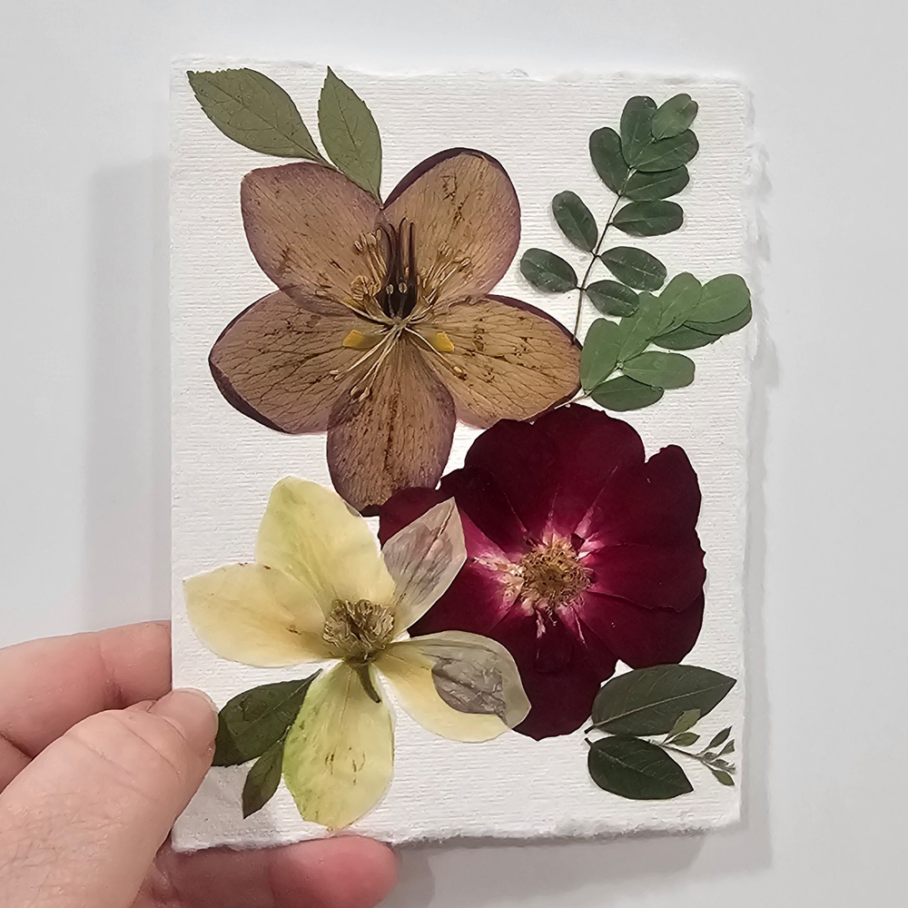 Hand holding a card with pressed hellebores, a red rose, and foliage