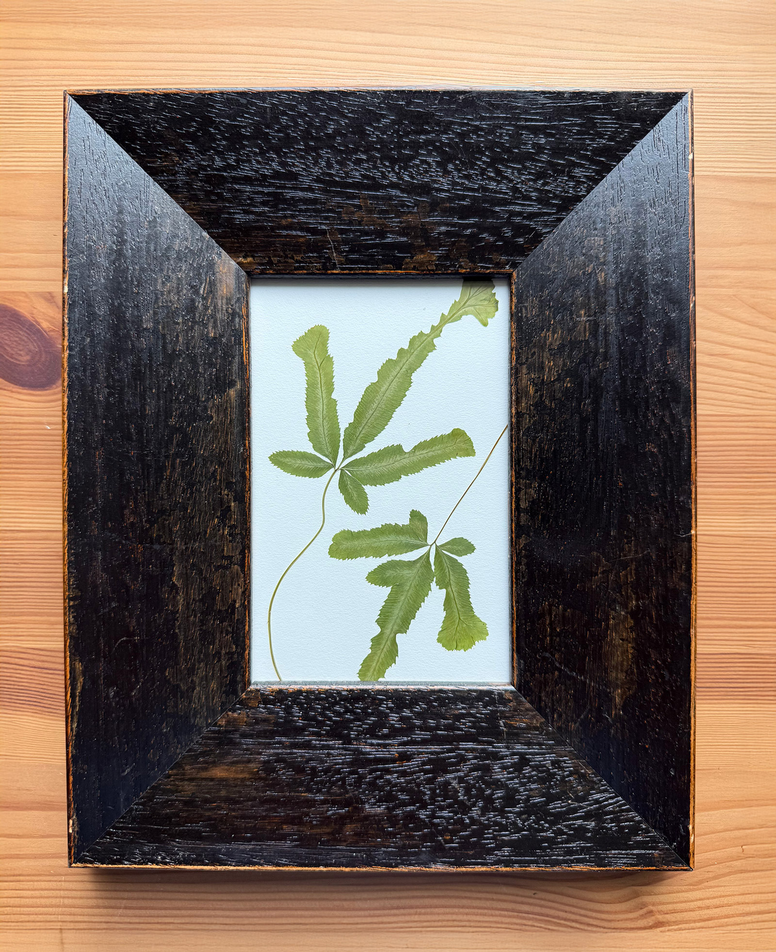 Fern pressed flower piece