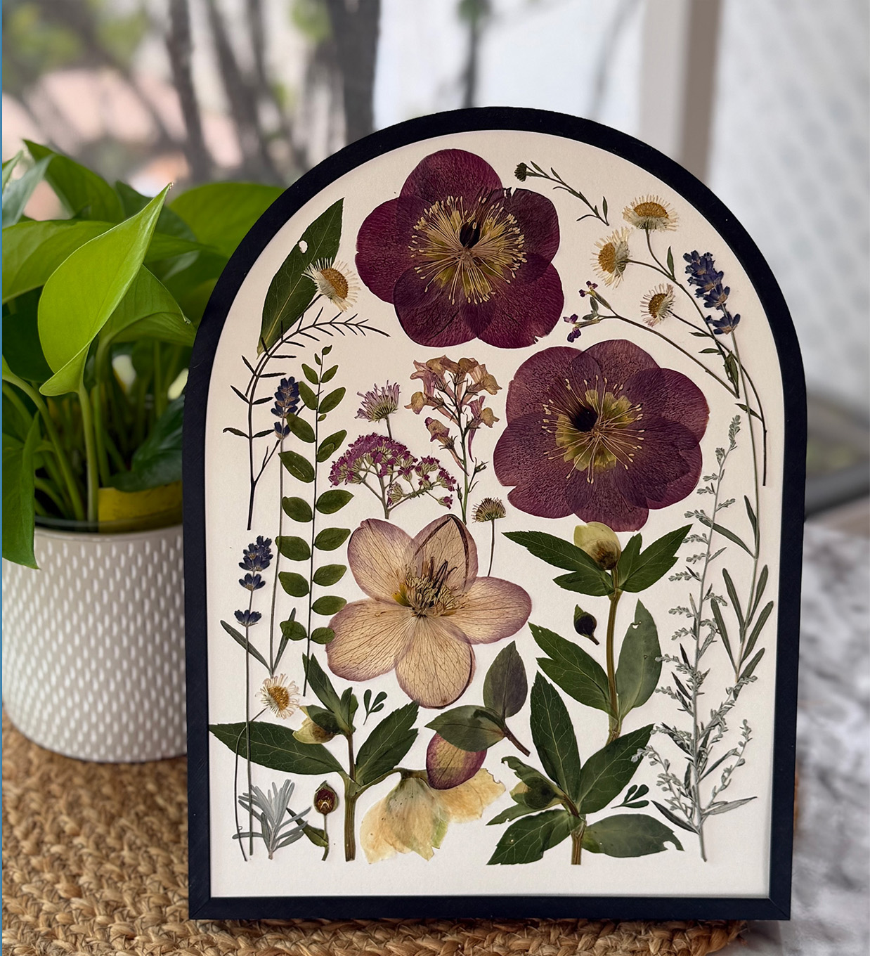 Arch-shaped frame with pressed hellebores beside a potted plant