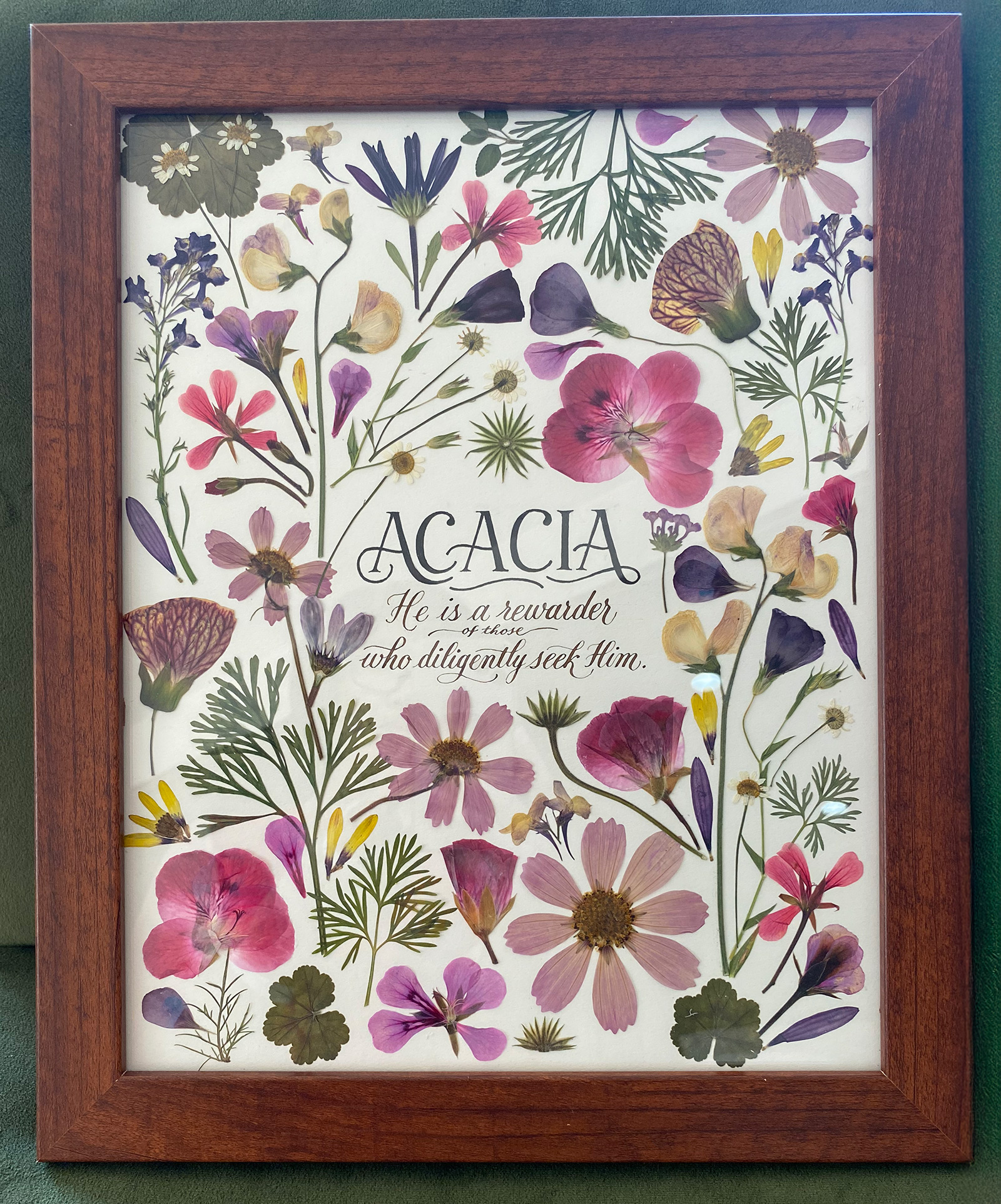 Pink and purple pressed flowers around the calligraphed name Acacia