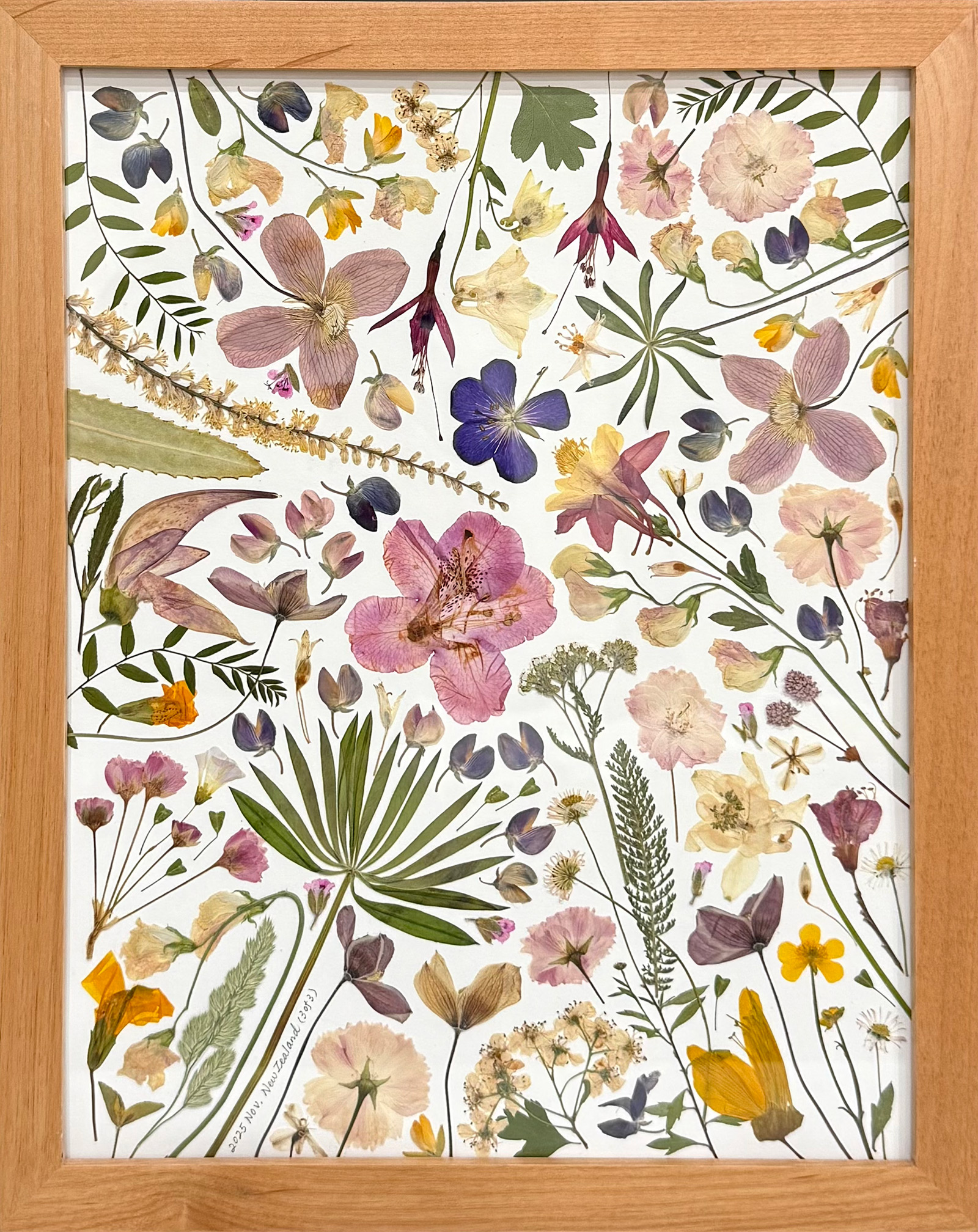 Pink, purple, and yellow pressed New Zealand flowers in a light wood frame