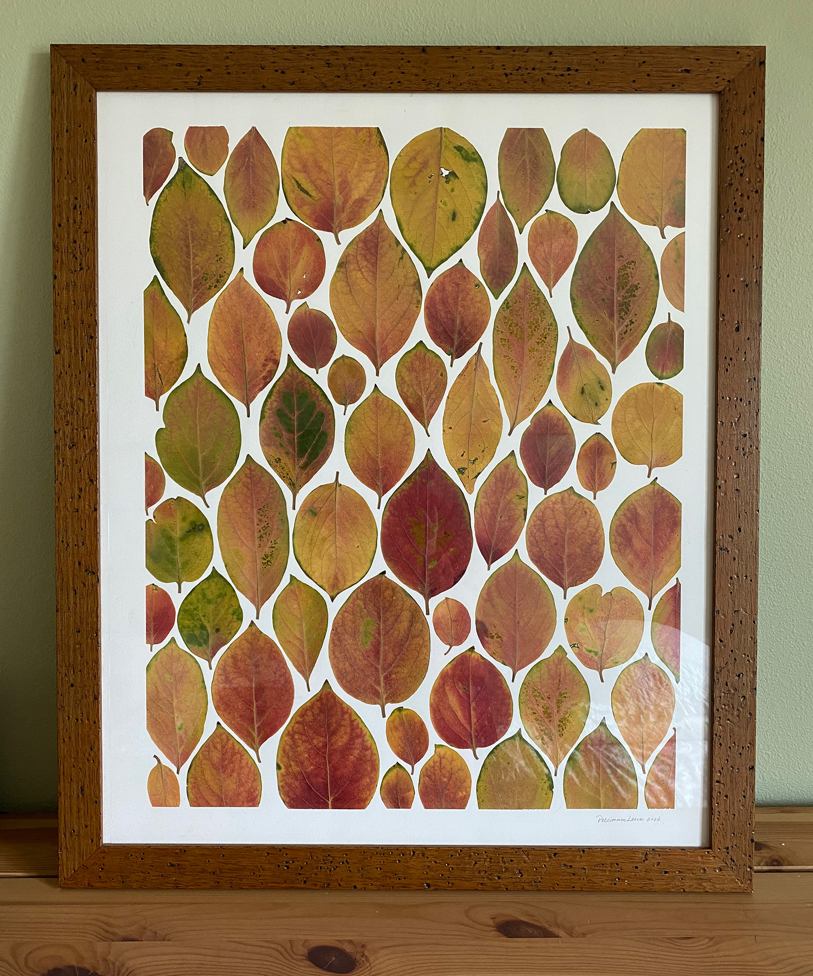 Rows of red, gold, and green pressed persimmon leaves on a white mat in a speckled wood frame